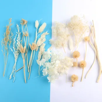 1 Pose Bland Tørret Tørre Blomster Håndværk Dekoration Naturlige Blomster Blomst til Epoxy Harpiks Smykker at Gøre UV-Resin Smykker Håndværk DIY